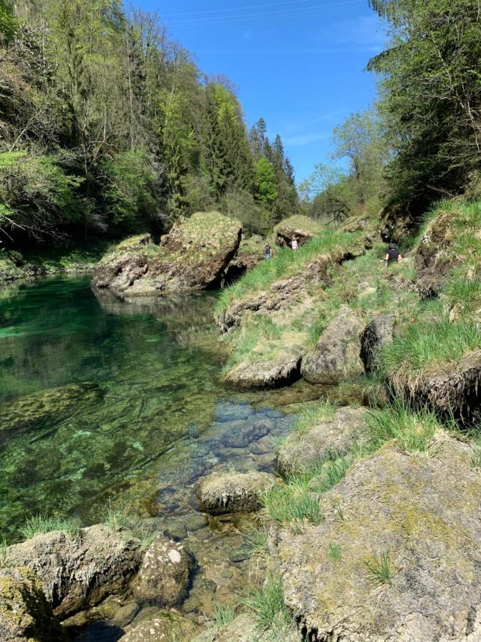 Ferienhaeuschen Am Traunsee Mit Tretboot Zur Freien Nutzung Am Badeplatz 阿尔特穆斯特 外观 照片