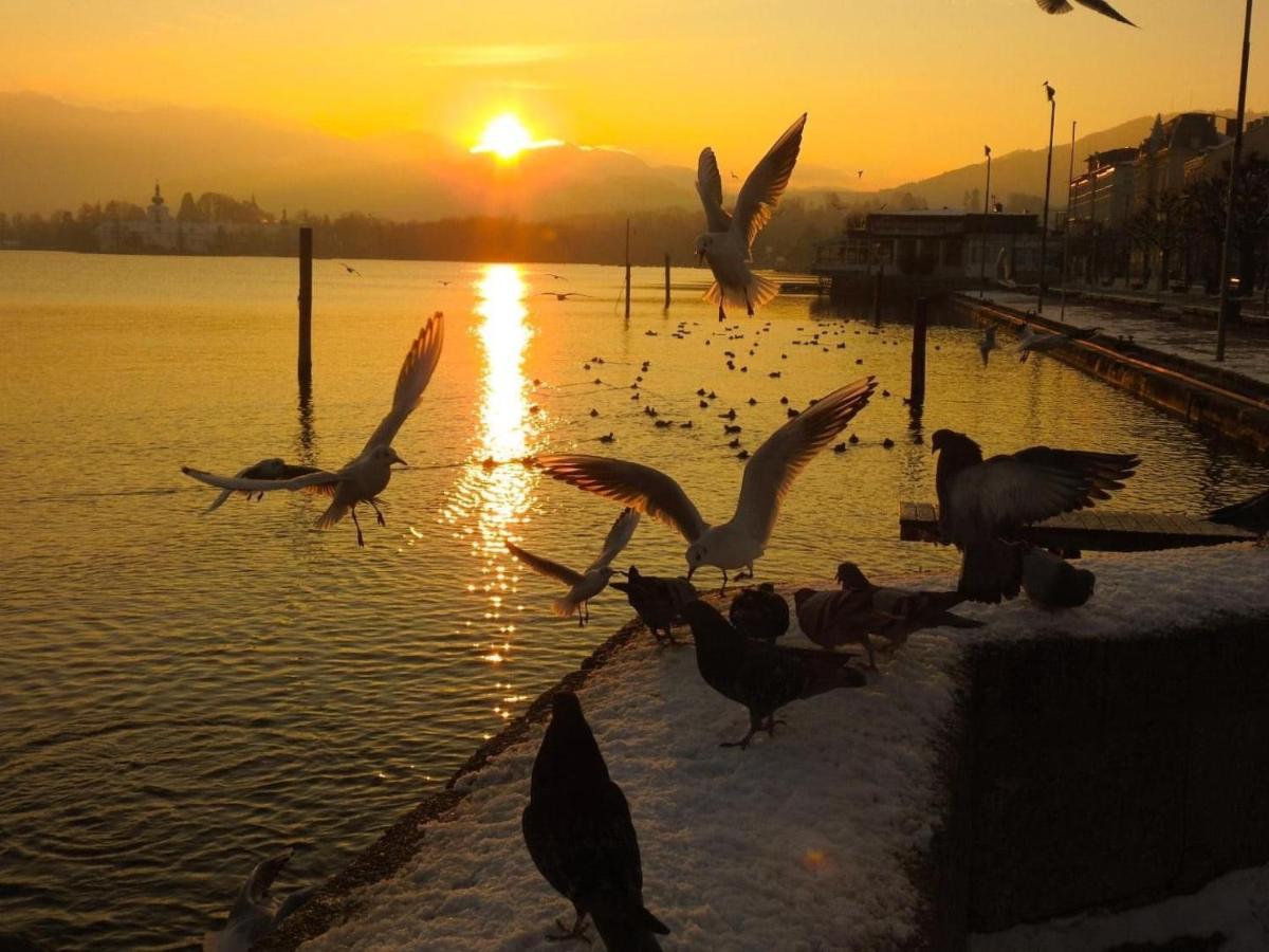 Ferienhaeuschen Am Traunsee Mit Tretboot Zur Freien Nutzung Am Badeplatz 阿尔特穆斯特 外观 照片