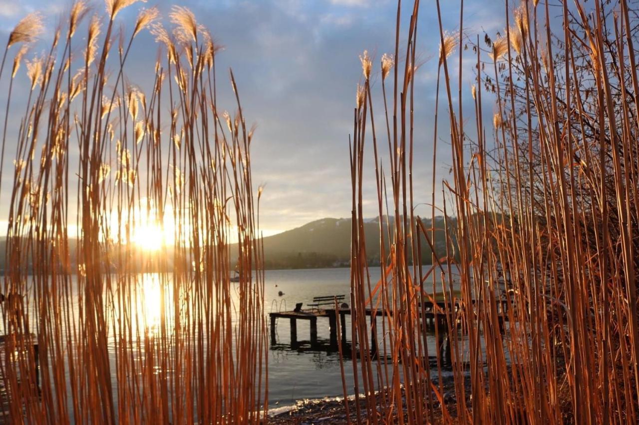 Ferienhaeuschen Am Traunsee Mit Tretboot Zur Freien Nutzung Am Badeplatz 阿尔特穆斯特 外观 照片